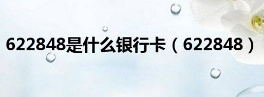 622848开头是什么银行？622848开头是中国农业银行