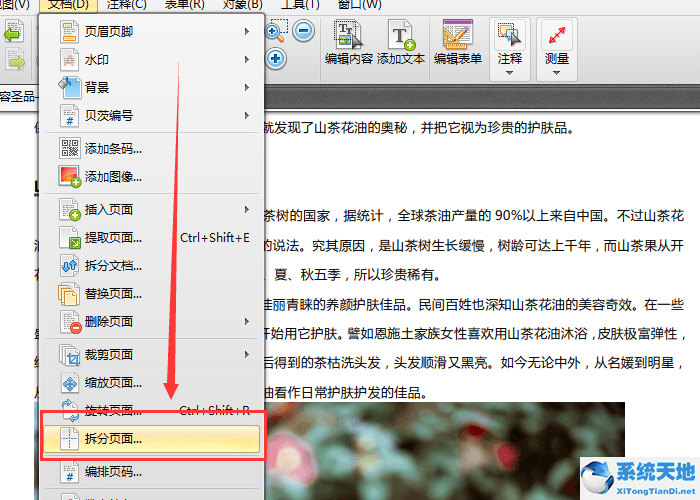 迅捷pdf转换器怎么分割页面(迅捷pdf编辑器拆分pdf页面的详细步骤流程是什么)