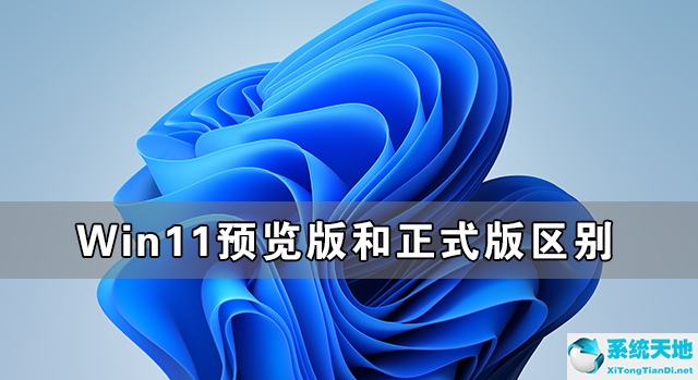 win11文件预览显示没有预览(win11预览版和正式版区别)