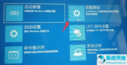 笔记本win11怎么退回win10(如何将win11退回win10)