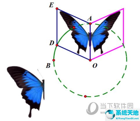 几何画板制作蝴蝶动画详细步骤(用几何画板画动态的蝴蝶图片)