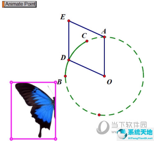 几何的蝴蝶(几何画板制作蝴蝶动画详细步骤)