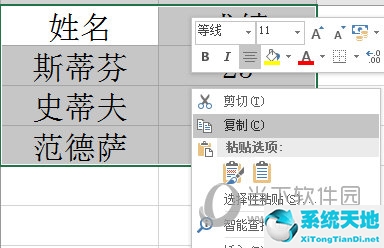 怎样将表格复制成图片(怎样把表格复制成图片)