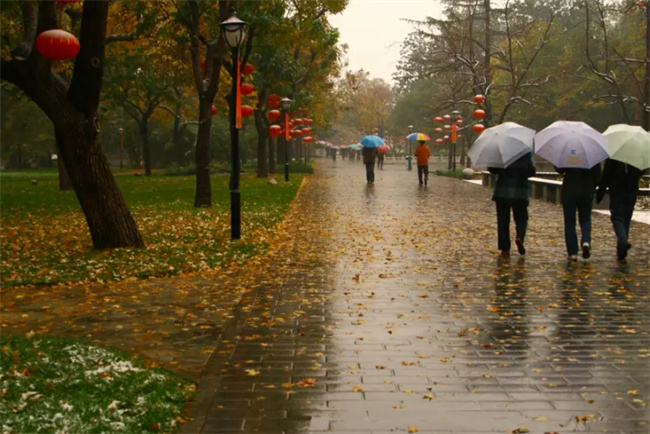 处暑后会下雨吗