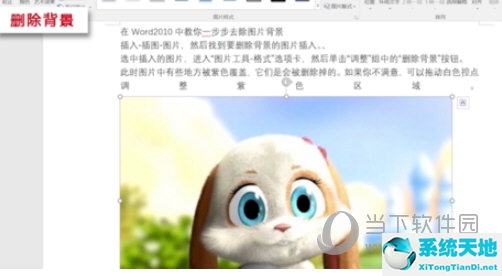 如何删除word中图片的背景色(word中怎么删除图片背景)