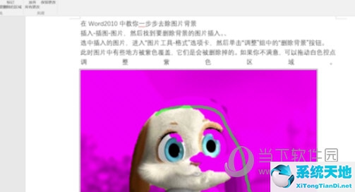 如何删除word中图片的背景色(word中怎么删除图片背景)