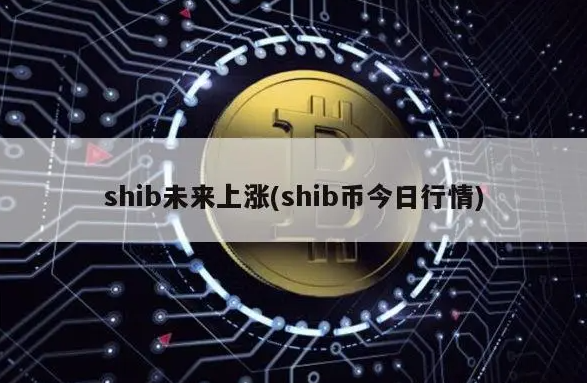 shib行情