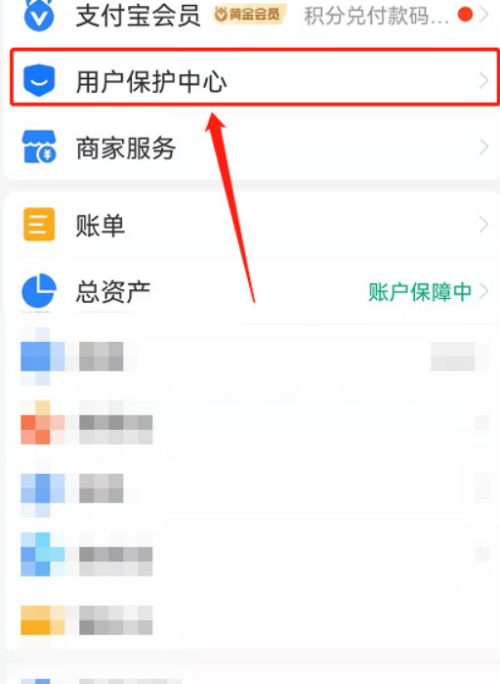 支付宝怎么查看个人信息档案