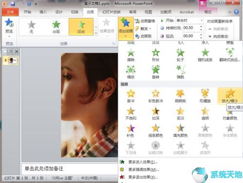 powerpoint2010动画效果有哪些(2010版ppt动画效果)