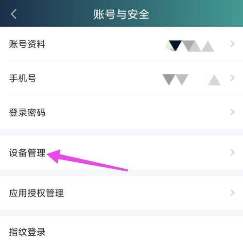 爱奇艺如何设置主设备