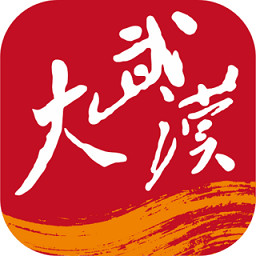 大武汉app