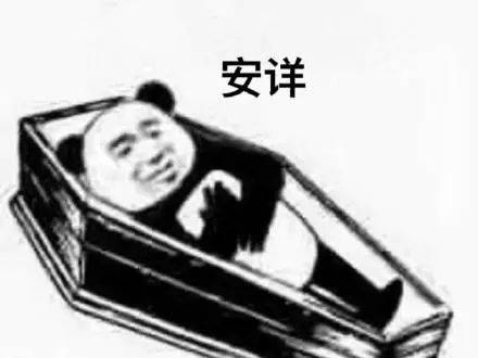 安排是什么梗