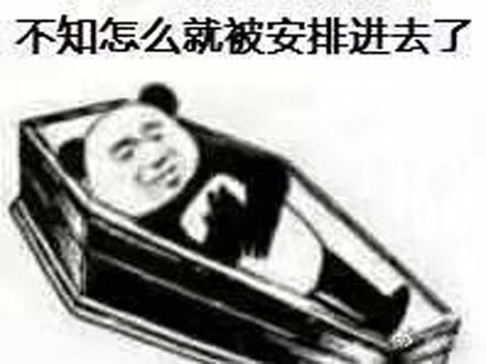 安排是什么梗