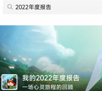 qq2020年度报告qq的在哪看