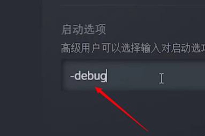 僵尸毁灭工程debug模式攻略