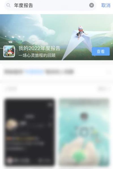 qq2020年度报告qq的在哪看