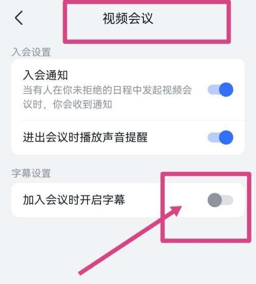 飞书怎么开启视频会议字幕显示