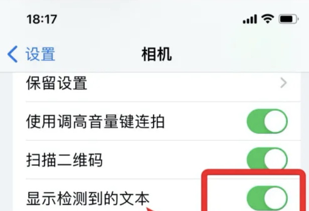 苹果提取文字功能怎么用的